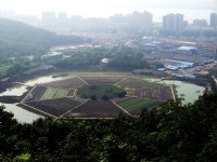 遠眺市區<br/> 攝影：方盛文