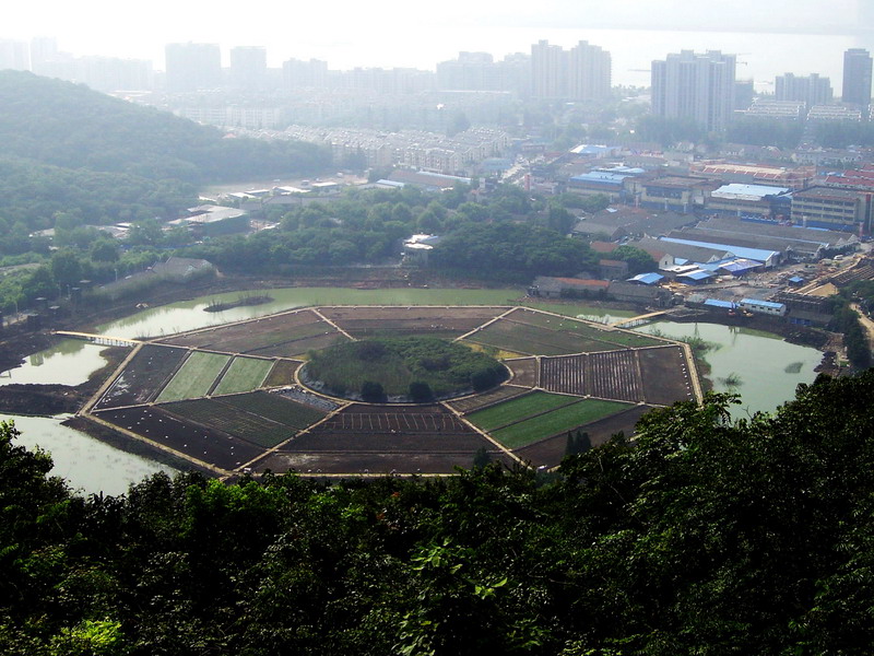 遠眺市區 攝影：方盛文