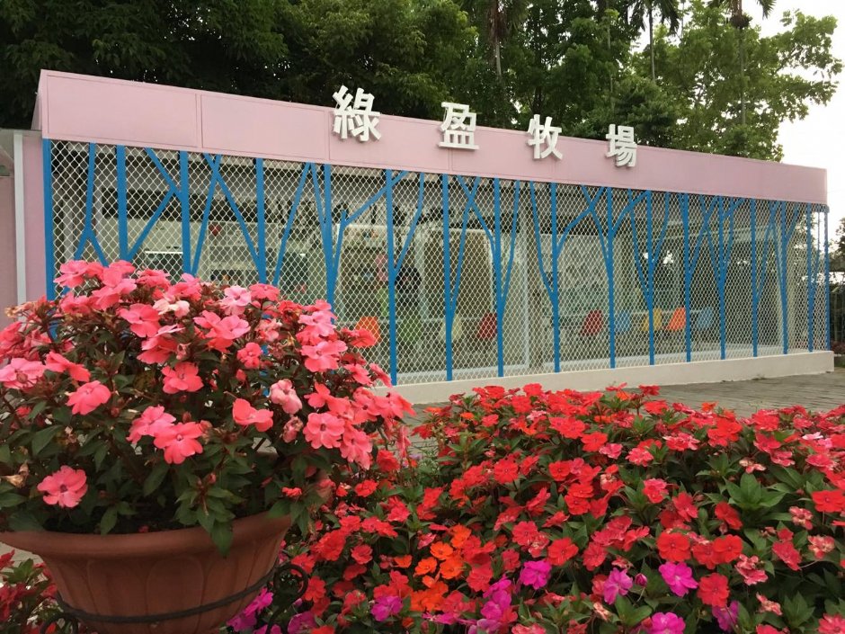 園區景觀 攝影：綠盈牧場