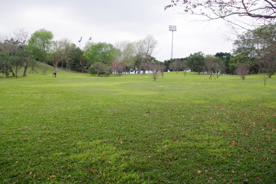 羅東運動公園 攝影：Eva隨手拍
