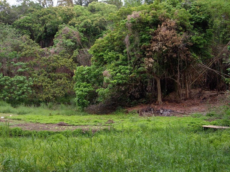 环潭步道-草地 摄影：老山羊資訊網