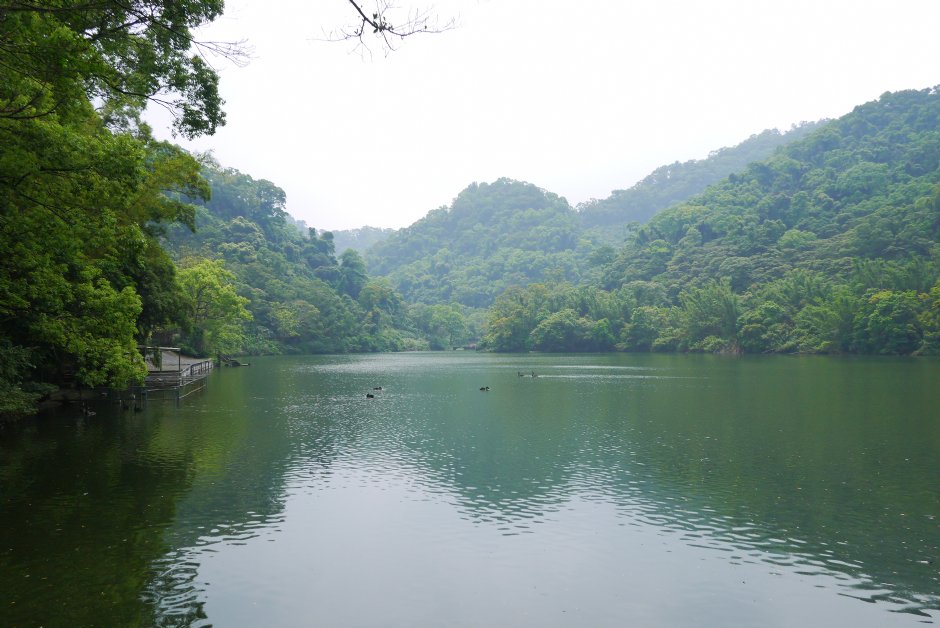 201605慈湖 攝影：旅遊王攝影組