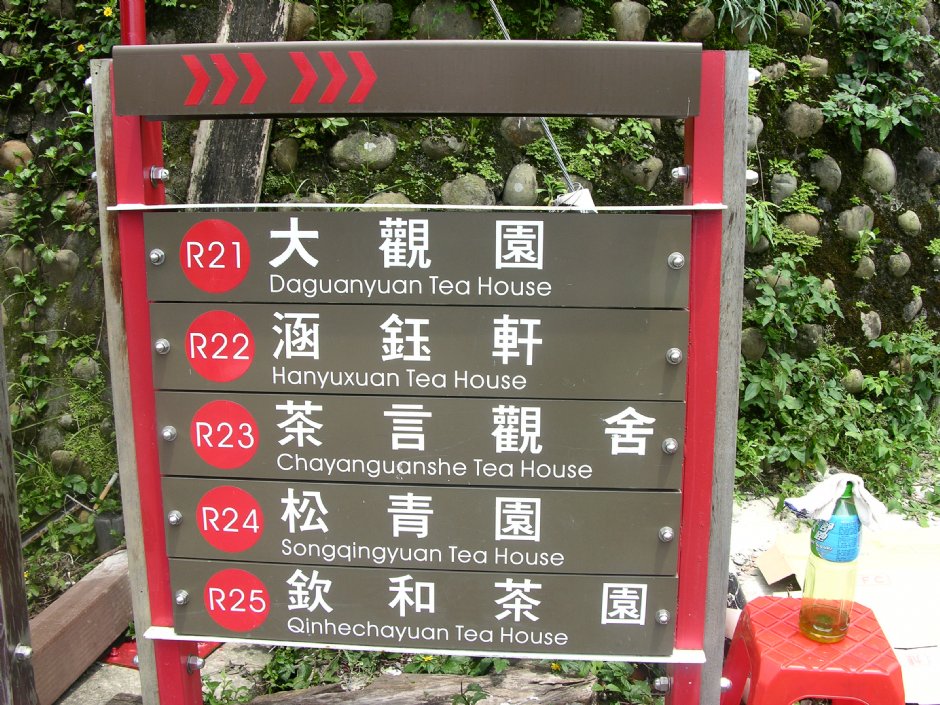 樟湖地區的品茶園 攝影：林夢真