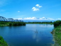 舊鐵橋濕地