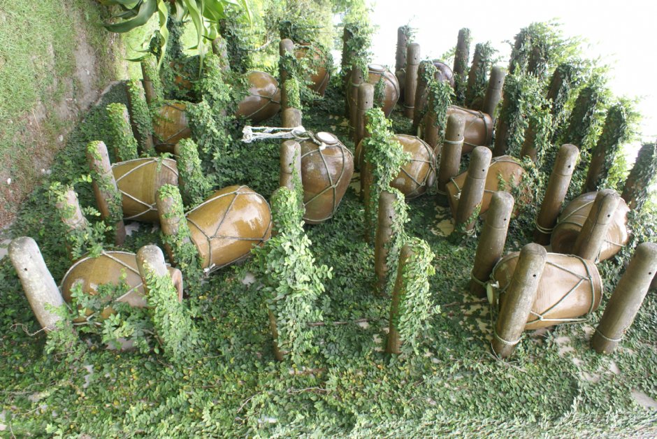 知卡宣森林公園 攝影：Eva隨手拍