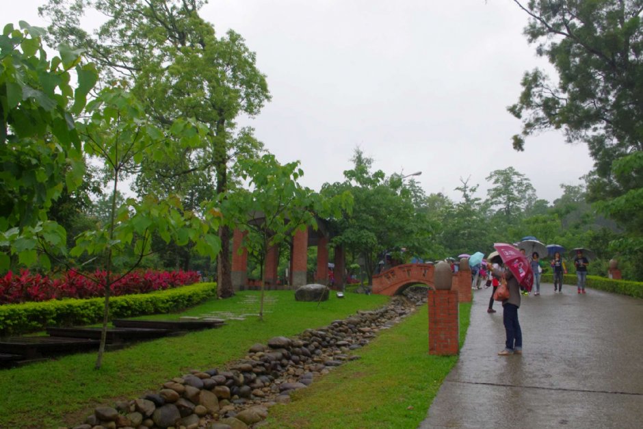 桐花樂活公園 攝影：Eva隨手拍