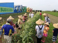 農務體驗<br/> 攝影：晁陽綠能園區 授權提供