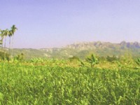 九九峰自然保留區一景<br/> 攝影：南投縣政府