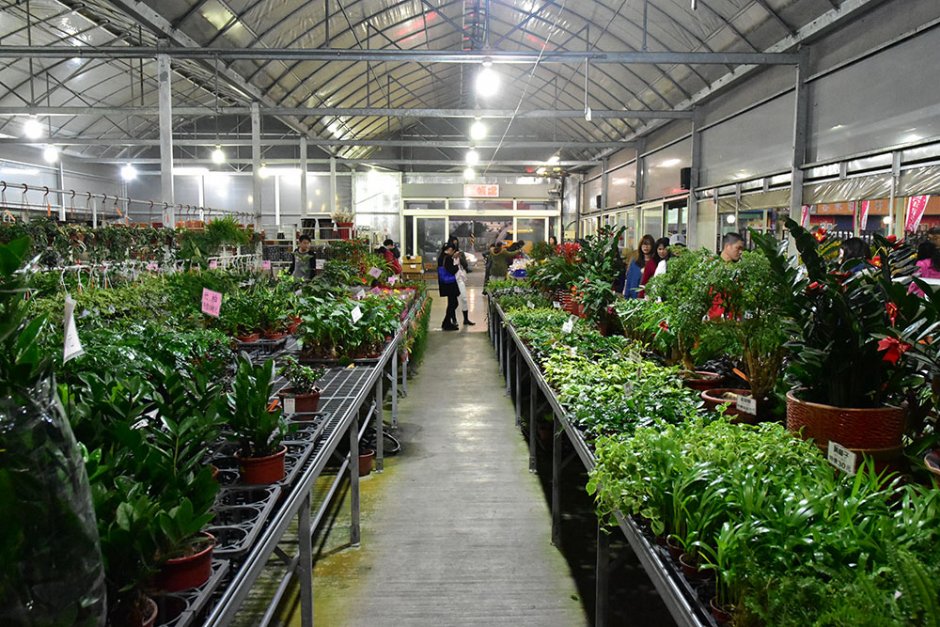 園區介紹 攝影：中社觀光花市