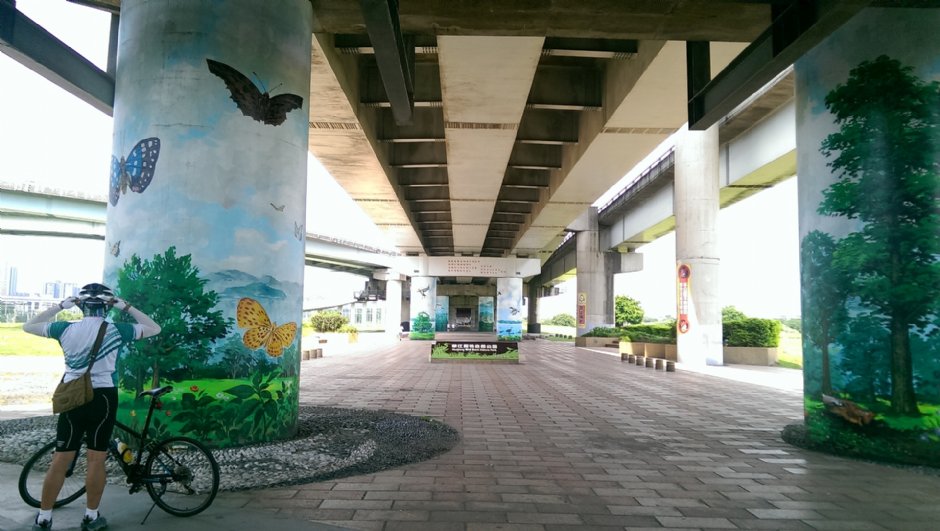 華江雁鴨自然公園 攝影：Eva隨手拍