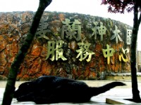 神木區招牌<br/> 攝影：簡時強