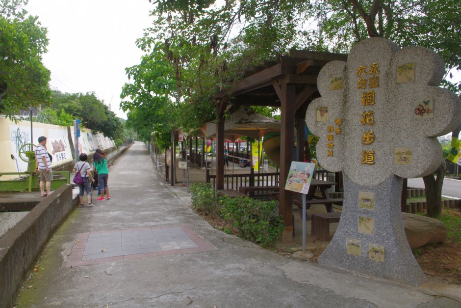 永豐六分桐花步道 攝影：Eva隨手拍