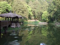 日出、神木、雲海，動人美景等著你