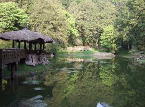 Alishan Firefly Festival
