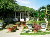 鬱金香花園<br/> 攝影：Eva隨手拍