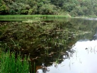寧靜湖面<br/> 攝影：余燕鳳