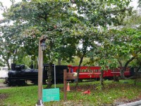 阿里山森林鐵路車庫園區<br/> 攝影：旅遊王攝影組