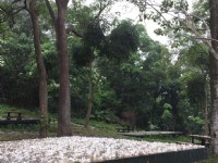 荷苞山登山步道<br/> 攝影：雲林縣政府觀光旅遊局 提供