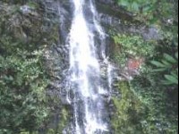鼎湖山國家森林公園-3<br/> 攝影：沈兆樑