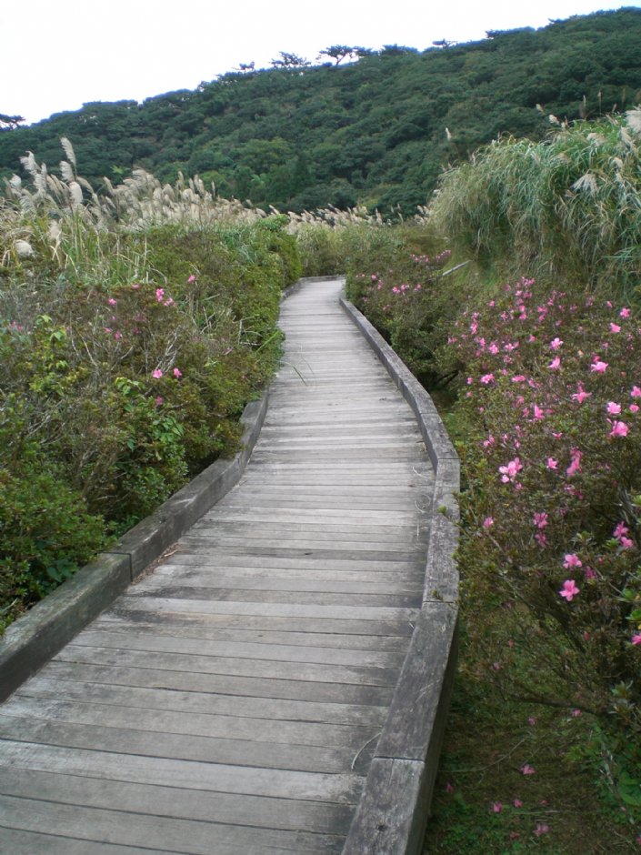 大屯山自然公園 攝影：amo