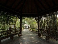 虎形山公園<br/> 攝影：照片來源_台南市觀旅局