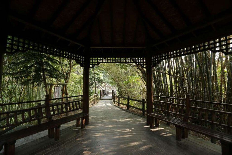 虎形山公園 攝影：照片來源_台南市觀旅局
