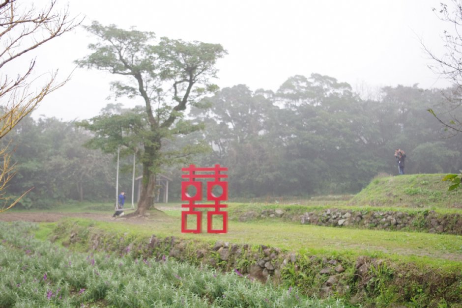 大屯莊園 攝影：Eva隨手拍