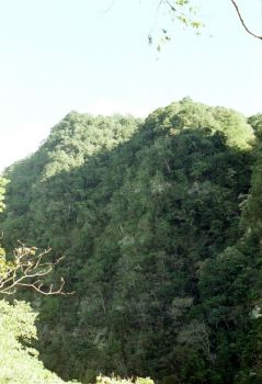山貌 攝影：呂玫瑢
