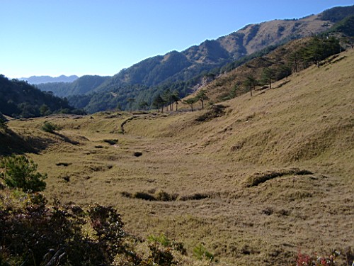 平坦的草原 攝影：老山羊資訊網