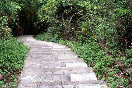 階梯 攝影：阿華