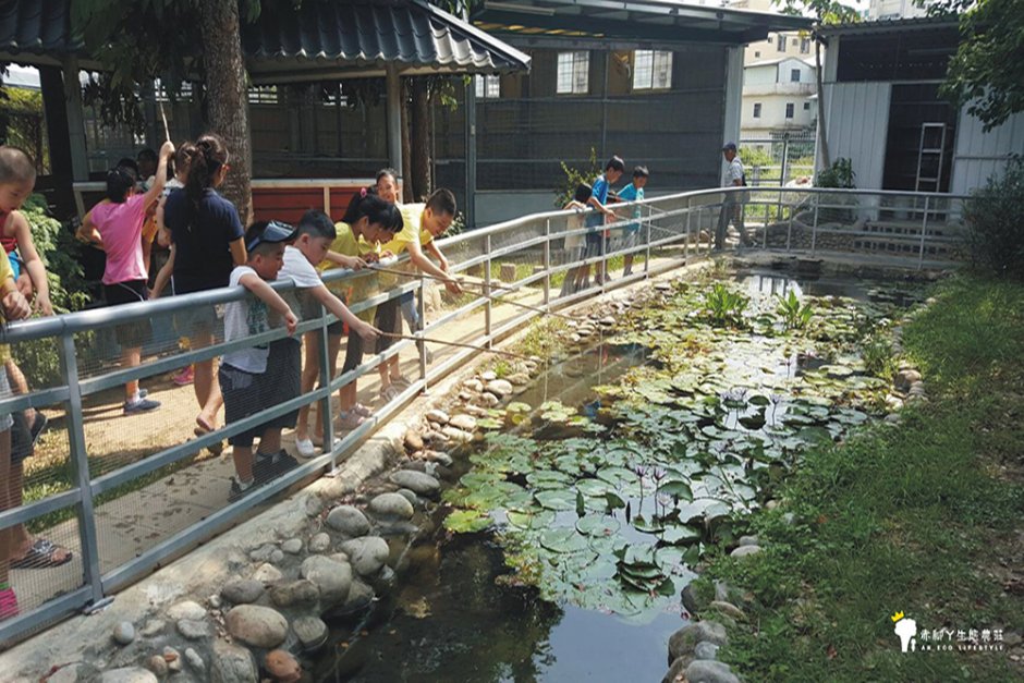 釣青蛙活動 攝影：赤腳丫生態農莊 提供