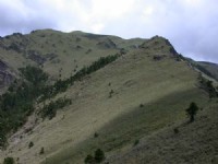 一望無際的草坡<br/> 攝影：阿英的登山小站