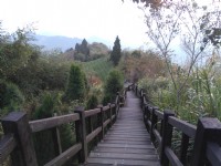 二延平步道<br/> 攝影：Lu