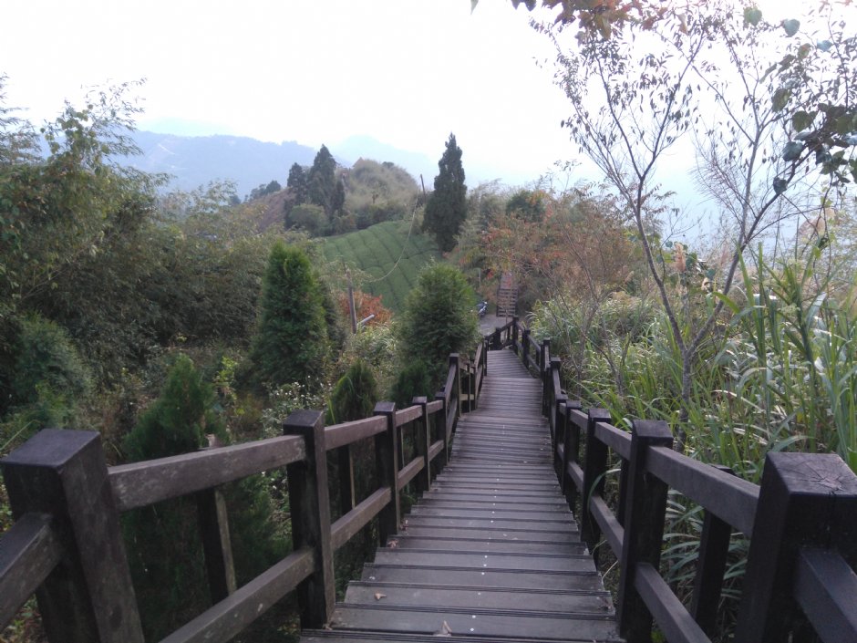二延平步道 攝影：Lu