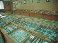 草藥展示<br/> 攝影：雲林縣政府