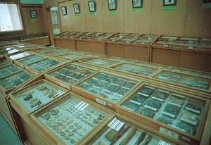 草藥展示 攝影：雲林縣政府