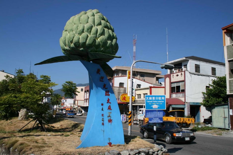 太麻里鄉市區景觀 攝影：老山羊部落格