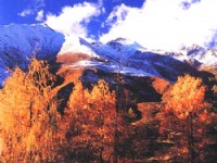 白雪頌歌<br/> 攝影：四川旅遊信息網