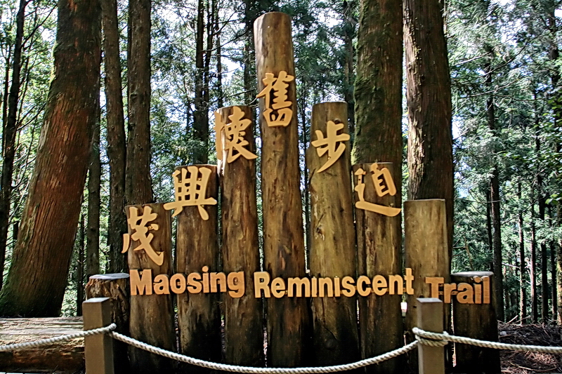 茂興懷舊步道 攝影：陳銘祥