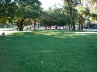榮星公園<br/> 攝影：amo