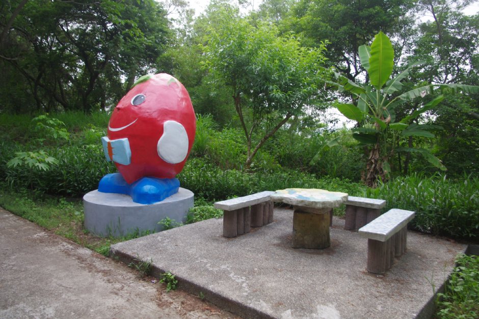 永豐六分桐花步道 攝影：Eva隨手拍