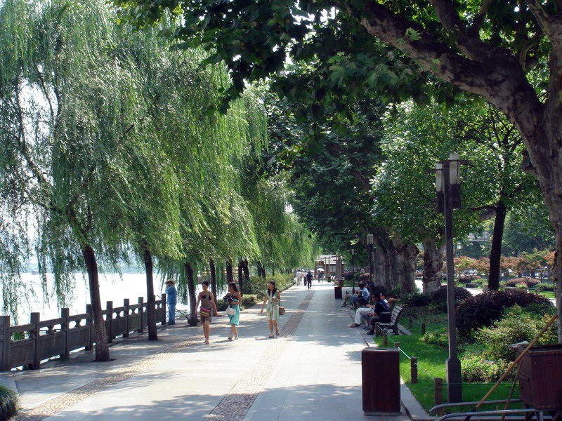 垂柳湖景相映 攝影：余錫堅