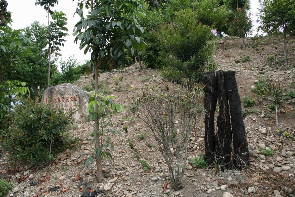 公園景色 攝影：老山羊部落格