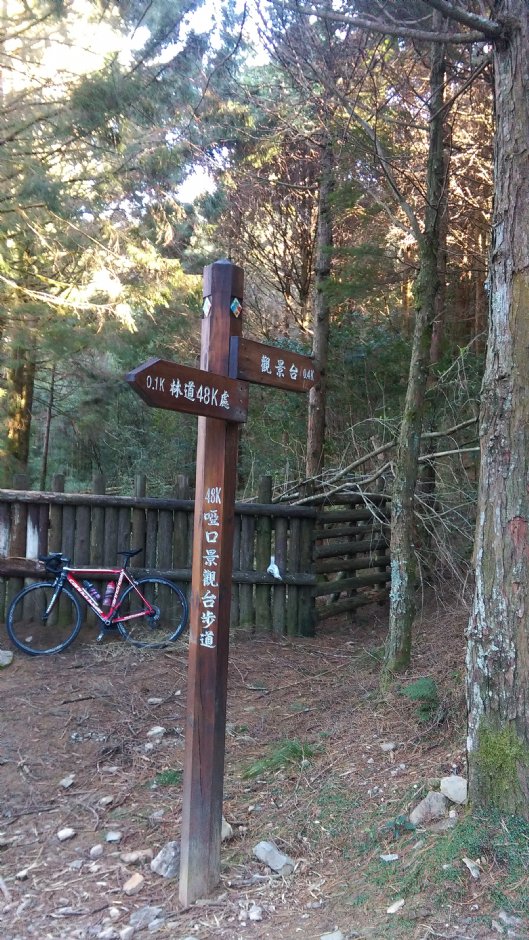 大雪山國家森林遊樂區 攝影：晏伶