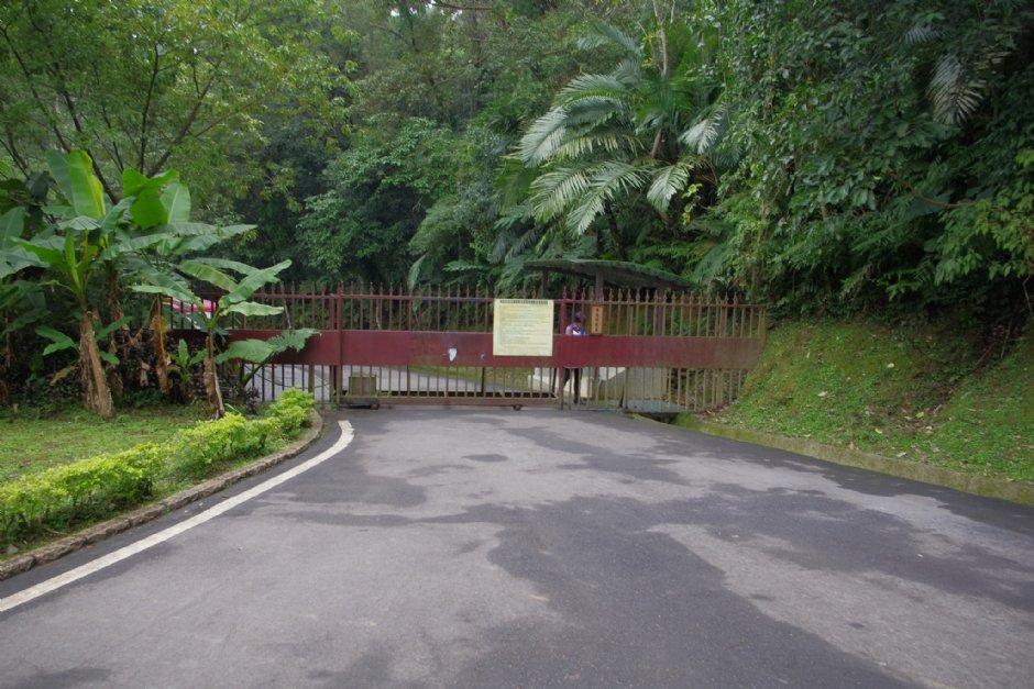 百吉林蔭步道內可見後慈湖管制入口 攝影：Eva隨手拍