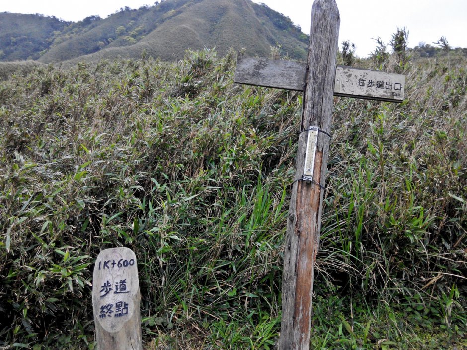 聖母登山步道 攝影：Lu