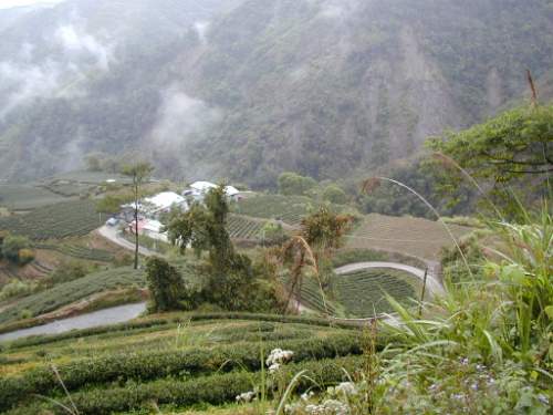楓林山下 攝影：老山羊