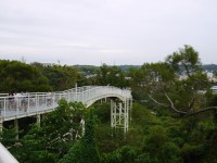 八卦山天空步道<br/> 攝影：旅遊王攝影組