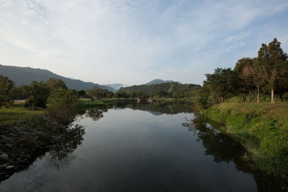 豐富的水岸生態 攝影：桃園市政府觀光旅遊局 提供