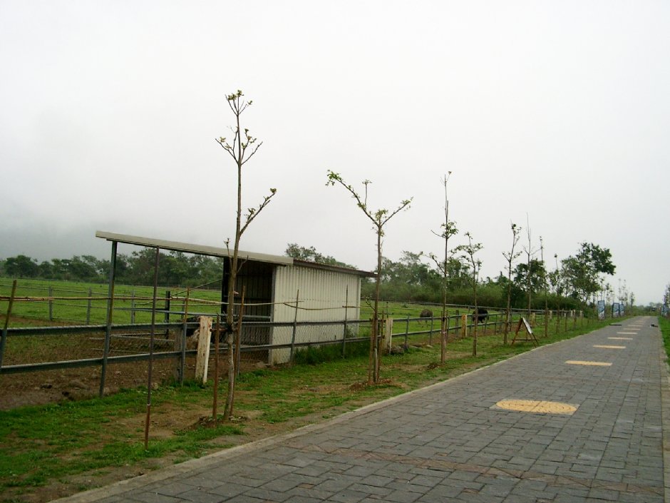牧場街景 攝影：Eva隨手拍
